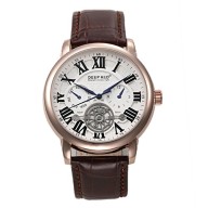 DEEP RED Men’s Calendar Military Japan Movement Gold Luxury Casual Watches 2015 (a brown band white background)