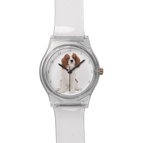 Cavalier King Charles Spaniel Watch