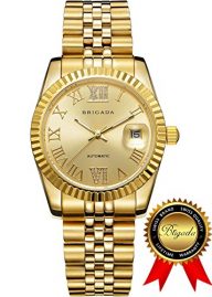 BRIGADA Swiss Watches Luxury Gold Waterproof Watches for Men, Nice Automatic Men’s Watches