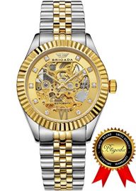 BRIGADA Swiss Watches Luxury Gold Automatic Watches for Men, Nice Mechanical Men’s Watches
