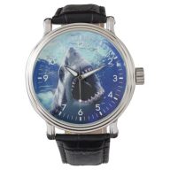 shark wrist watch