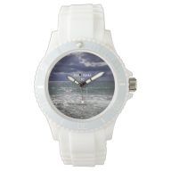 Outer Banks NC Watch