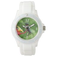 Ruby-Throated Hummingbird Bird Photography Watch