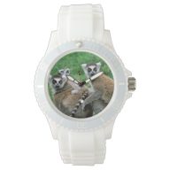 Africa, Madagascar, Antananarivo, Tsimbazaza Watch