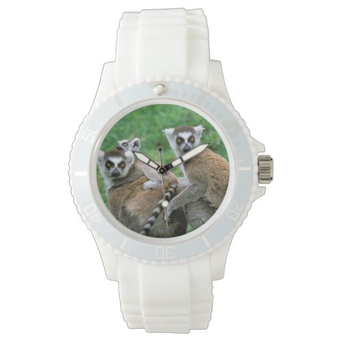 Africa, Madagascar, Antananarivo, Tsimbazaza Watch