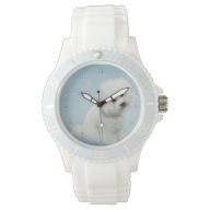 Bichon Watch